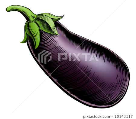 Brinjal vintage woodcut illustration 10143117