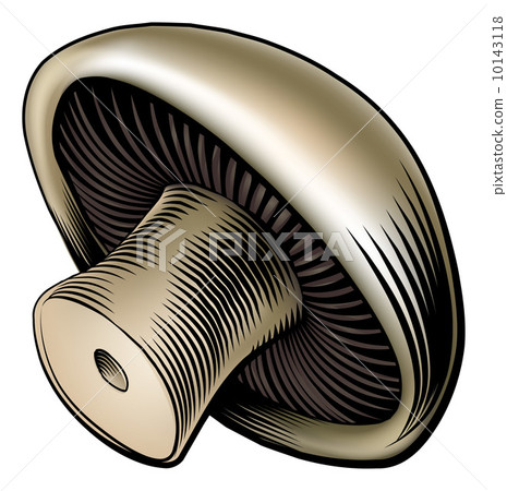 Mushroom vintage woodcut illustration 10143118