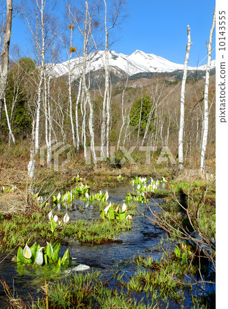 Norikura Kogen Kazuyoshi花園區水basho 10143555