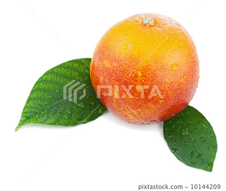 Blood orange with green leaves isolated on white background. Blood orange with green leaves isolated on white background. 10144209