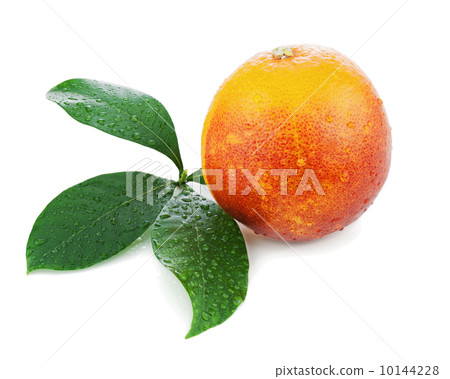 Blood orange with green leaves isolated on white background. Blood orange with green leaves isolated on white background. 10144228