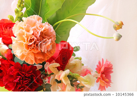 花卉植物康乃馨母親節非洲菊春天春天花插花插花花卉熱帶綠葉新鮮綠芽拍手Quinzelia可愛Strawlitic奧古斯塔初夏安排 花卉植物康乃馨母親節非洲菊春天春天花插花插花花卉熱帶綠葉新鮮綠芽拍手Quinzelia可愛Strawlitic奧古斯塔初夏安排 10145366