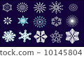 vector Snowflakes 10145804