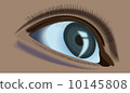 human eye 10145808