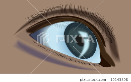 human eye human eye 10145808