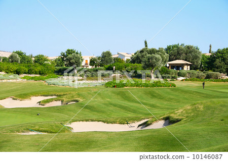 Golf field Golf field 10146087