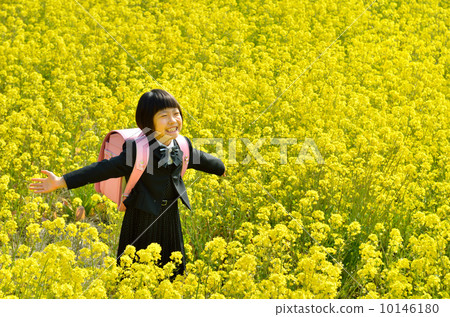 A new first grader girl spreading her hands in the rape field 10146180