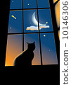 cat on the window 10146306