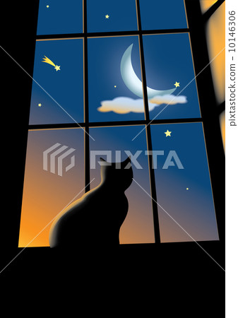 cat on the window cat on the window 10146306