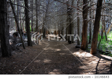 Victoria Island. San Carlos de Bariloche 10146643