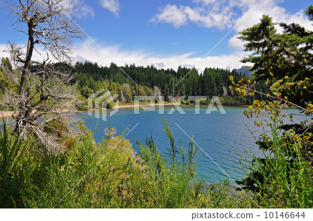 View from Victoria Island on Lake Nahuel Huapi. San Carlos de Ba 10146644
