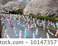    Carp streamer 10147357