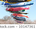    Carp streamer 10147361