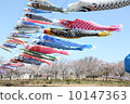    Carp streamer 10147363