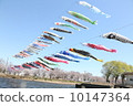    Carp streamer 10147364