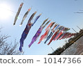   Carp streamer 10147366