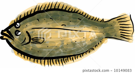 比目魚 比目魚 10149083