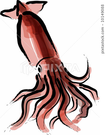 魷魚 10149088