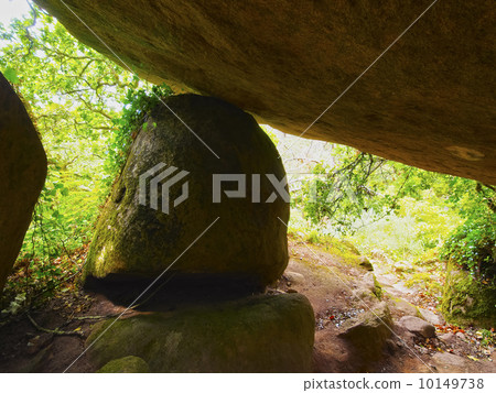 Park of Pena National Palace in Sintra 10149738
