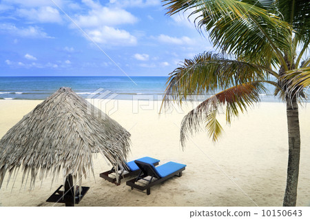 Beach holiday. Beach holiday. 10150643