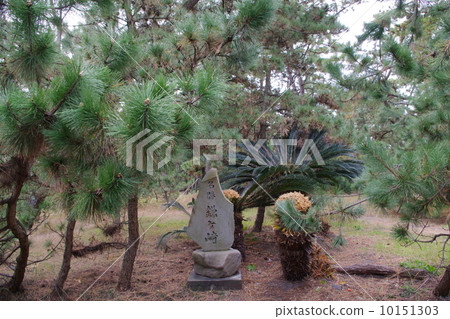 Scenic spot Kagasaki Scenic spot Kagasaki 10151303