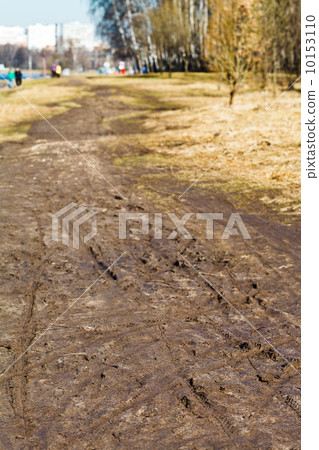 dirt walk way in urban park in spring 10153110