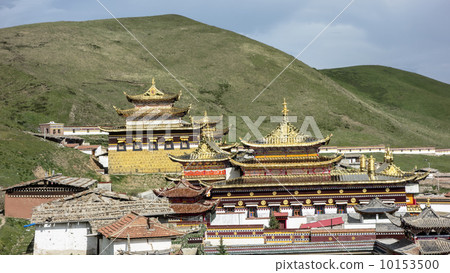 Golden roof of Langmusi temple , sichuan Golden roof of Langmusi temple , sichuan 10153500