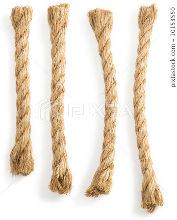 ship ropes on white ship ropes on white 10153550