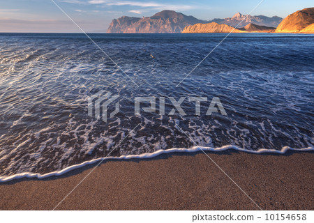 beach 10154658