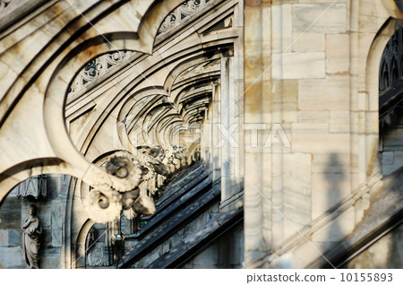 Roof details of the Duomo, Milano 10155893
