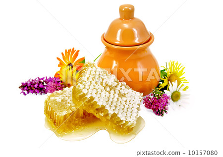 Honeycomb with pitcher and flowers 10157080