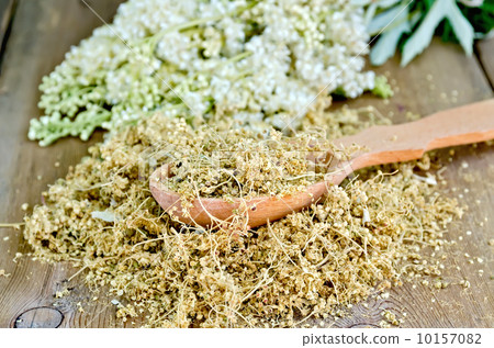 Herbal tea of meadowsweet on spoon 10157082