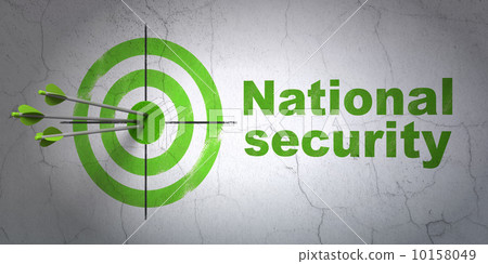 Privacy concept: target and National Security on wall background 10158049