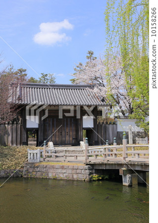 櫻花神社Otomon 10158266