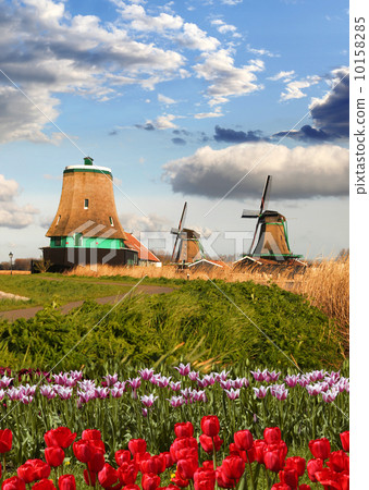Traditional Dutch windmills with canal close the Amsterdam, Holland Traditional Dutch windmills with canal close the Amsterdam, Holland 10158285