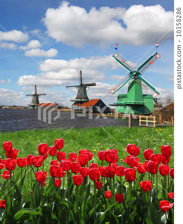 Traditional Dutch windmills with canal close the Amsterdam, Holland Traditional Dutch windmills with canal close the Amsterdam, Holland 10158286