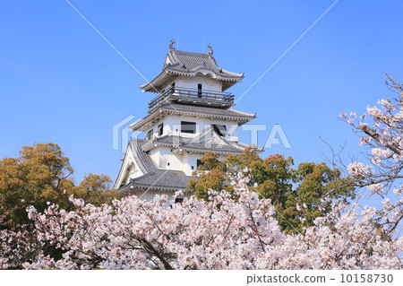 Imabari Castle in Spring Imabari Castle in Spring 10158730