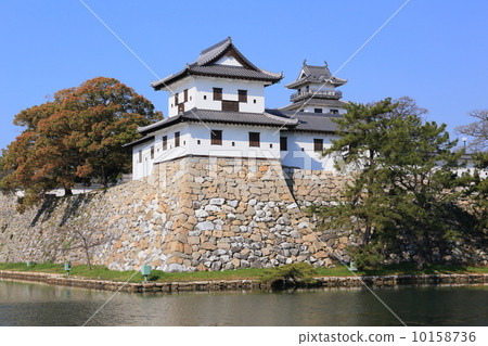 Imabari城堡在春天 10158736