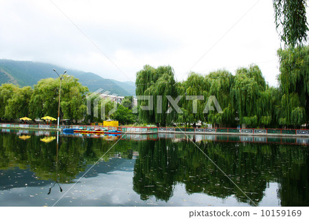 Willow trees at the lake 10159169