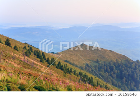 summer misty mountain landscape 10159546