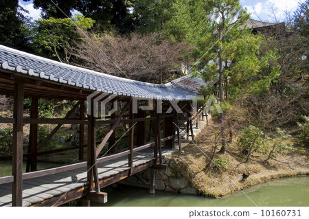 Wolongongong Street of Kodai-ji Temple 10160731