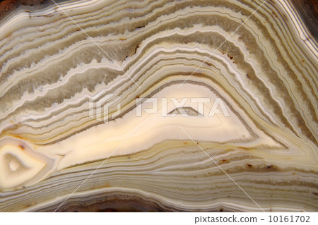 detail of nice agate mineral background 10161702