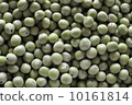 Greenpeace after harvest 10161814