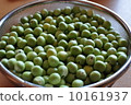 Green peas harvest 10161937