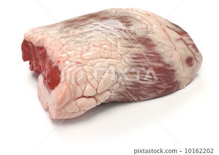 Beef cat 10162202