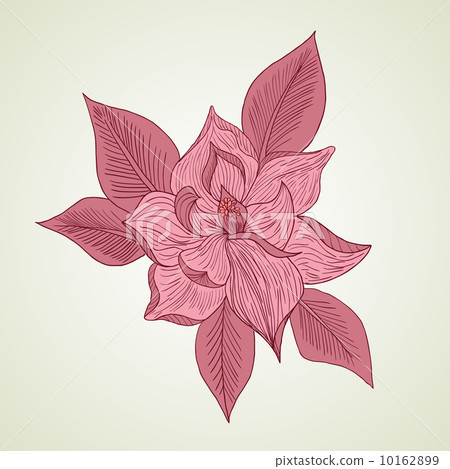 Hand drawing floral background Hand drawing floral background 10162899