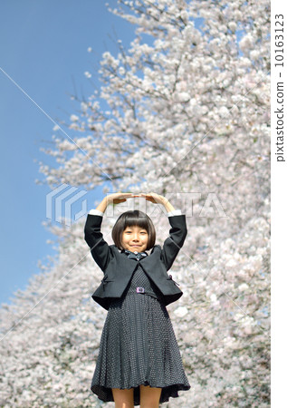 New 1st grade girl making a gesture of Maru (cherry blossoms) 10163123
