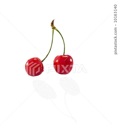 cherry cherry 10163140