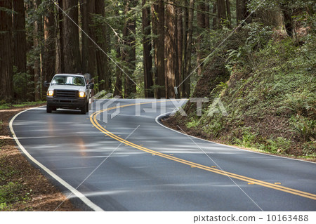 Truck drive scenic byway Redwood forest California 10163488
