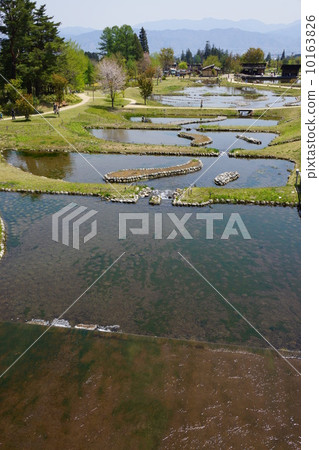Shabu-shabu pond in the state-owned Alpine Azumi Park 10163826